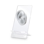 White Magnetic Demonstration Ear with stand
